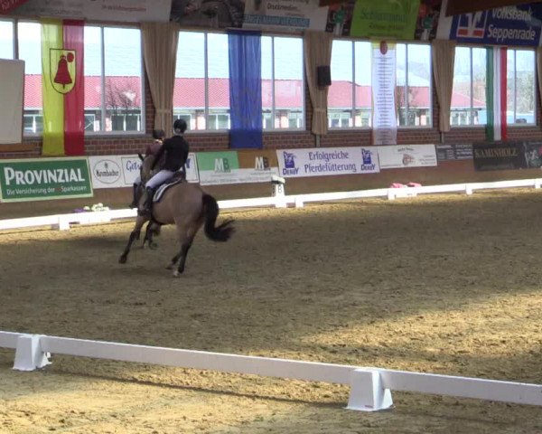 Reitturnier Seppenrade 2019