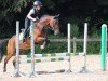 dressage horse Kantje's Cherish (New Forest Pony, 1993, from Ralph)