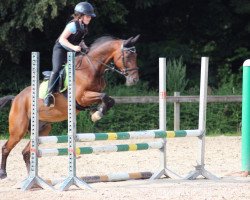 dressage horse Kantje's Cherish (New Forest Pony, 1993, from Ralph)