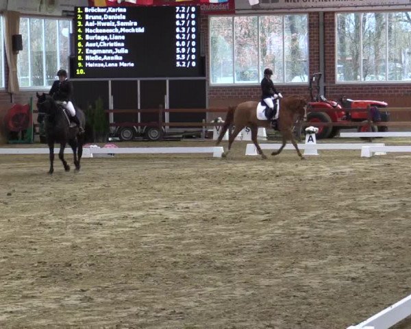 Reitturnier Seppenrade 2019