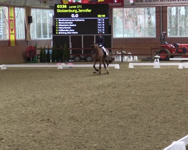 Reitturnier Seppenrade 2019