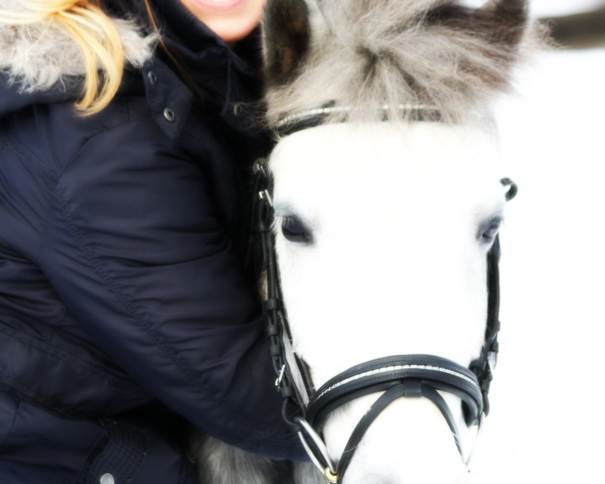 dressage horse Snowflake 23 (unknown, 2007)