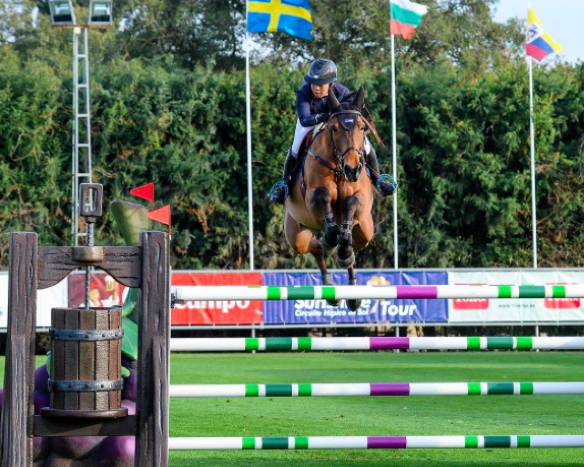 jumper Cordesa Von Hof CH (Swiss Warmblood, 2002, from Cernunnus von Hof)