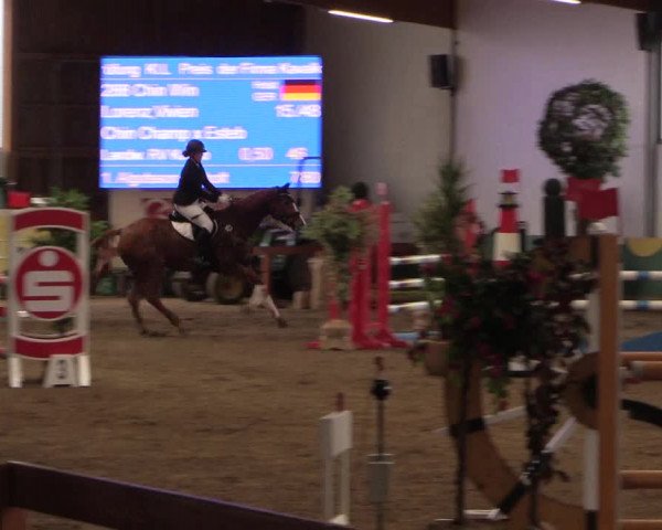 Reitturnier Warendorf-Freckenhorst 2019