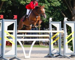 jumper Kilmullen Olympic Cruise (Irish Sport Horse, 2003, from Olympic Lux)