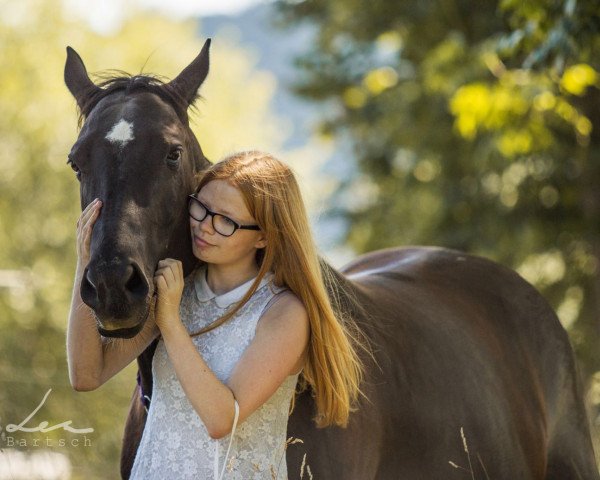 Zuchtstute Sugar Frisco Baby (Quarter Horse, 2011, von Taffys Mister Pep)