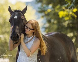 broodmare Sugar Frisco Baby (Quarter Horse, 2011, from Taffys Mister Pep)