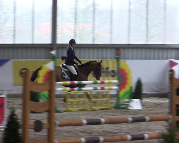 Reitturnier Greven 2019