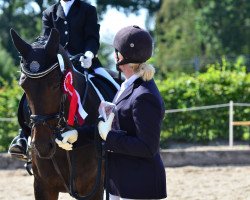 dressage horse Rochayelle (Westphalian, 2000)