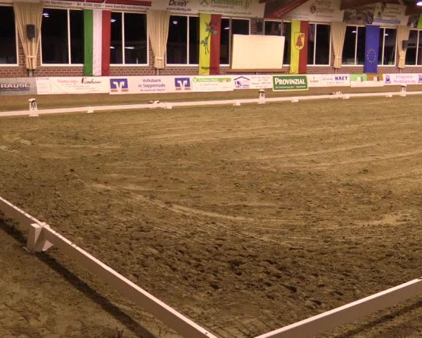 Reitturnier Seppenrade 2019