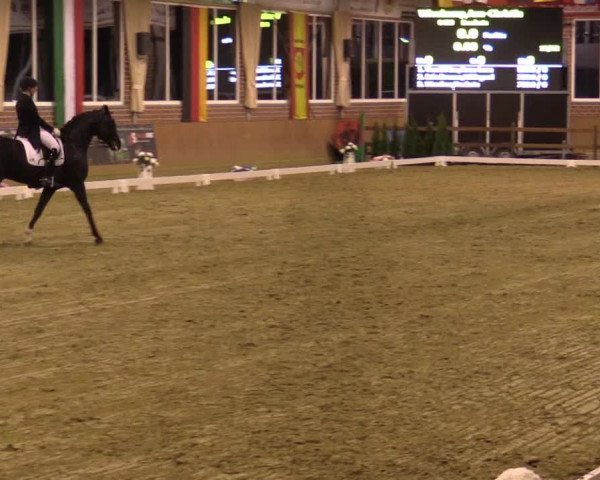 Reitturnier Seppenrade 2019