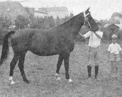 broodmare Figurante (Gelderland, 1964, from Amor)