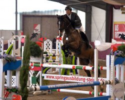 jumper Cavalinho (Holsteiner, 2009, from Cascari)