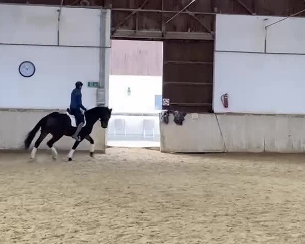 Video of Bob Shoemaker