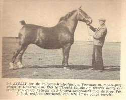 broodmare Ezolly (KWPN (Royal Dutch Sporthorse), 1945, from Voorman)