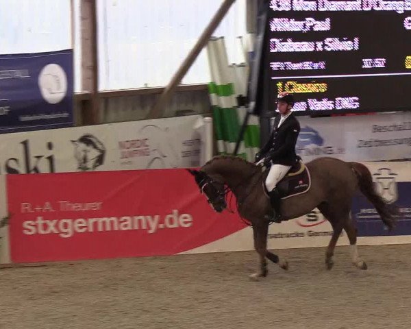 Nordic Jumping events 2019