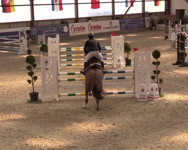 Nordic Jumping events 2019