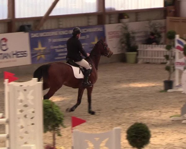 Nordic Jumping events 2019