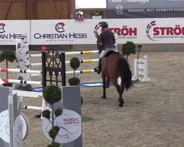 Nordic Jumping events 2019