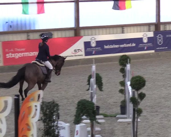 Nordic Jumping events 2019