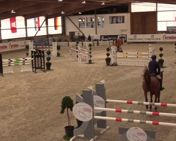 Nordic Jumping events 2019