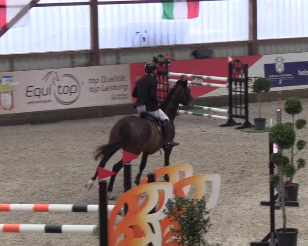 Nordic Jumping events 2019