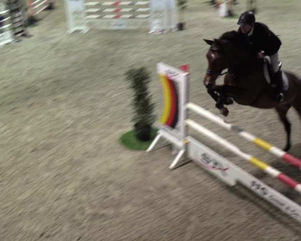 Nordic Jumping events 2019