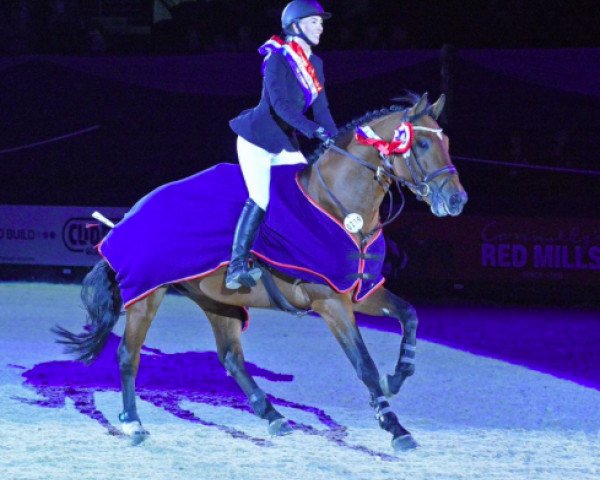 jumper Fayot (Royal Warmblood Studbook of the Netherlands (KWPN), 2010, from Lupicor)