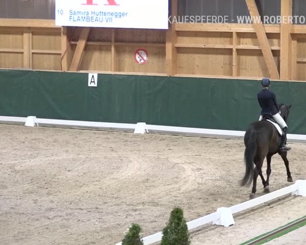Reitturnier Dielsdorf, Horsepark 2019