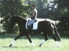 broodmare Royal Princess (Oldenburg, 1998, from Rohdiamant)