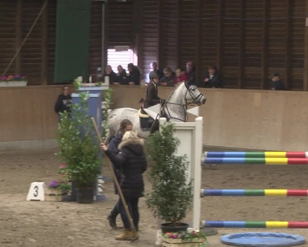 Reitturnier Mannheim-Neckarau 2019