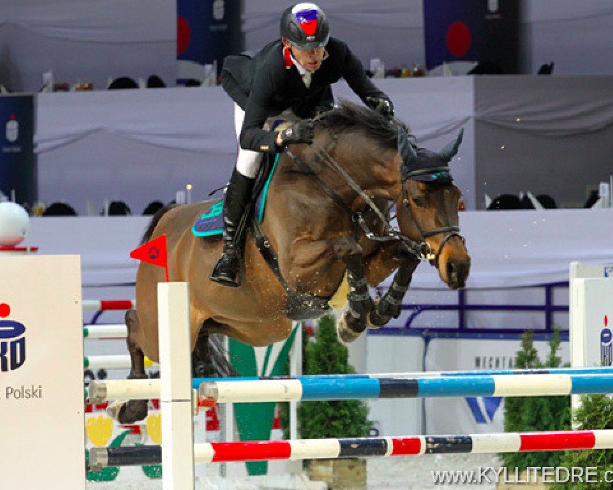 Springpferd Cornetta (Westfale, 2004, von Cornet Obolensky)