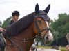 dressage horse Murmel 58 (German Riding Pony, 2010, from Take it easy)