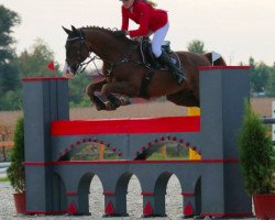 jumper Apolló (Hungarian Warmblood, 2002, from Accarat)