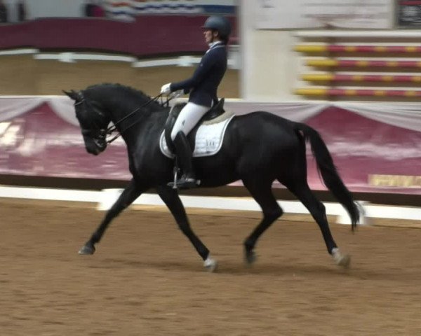 Reitturnier Eicherloh RH Laurent/Obb. 2019