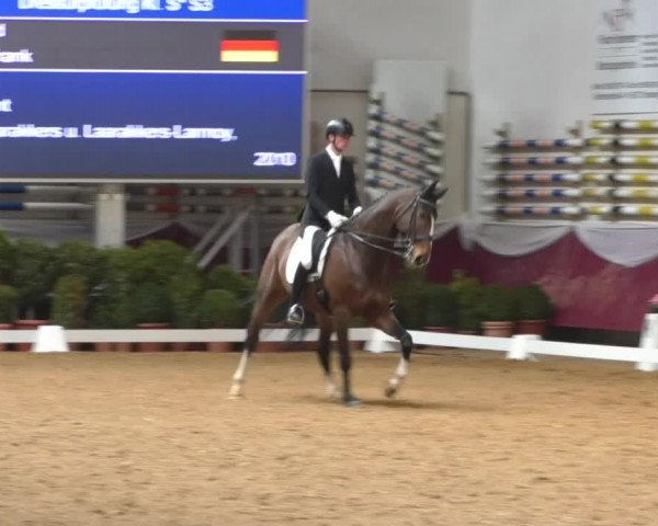 Reitturnier Eicherloh RH Laurent/Obb. 2019
