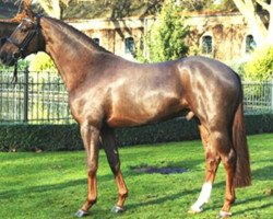 stallion Royal Rhythmik (Oldenburg, 2004, from Royal Hit)