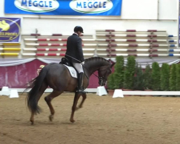 Reitturnier Eicherloh RH Laurent/Obb. 2019