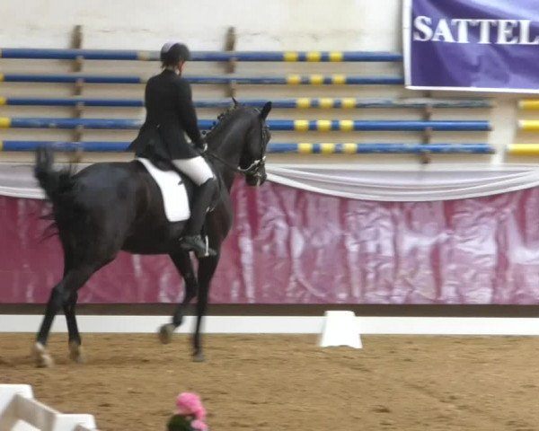 Reitturnier Eicherloh RH Laurent/Obb. 2019