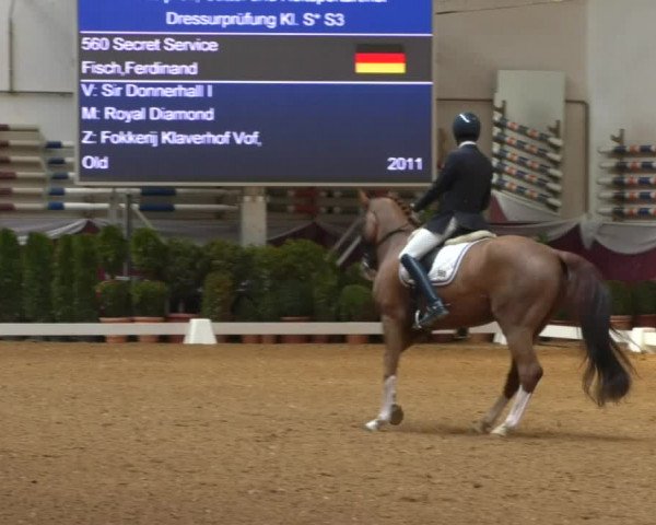 Reitturnier Eicherloh RH Laurent/Obb. 2019