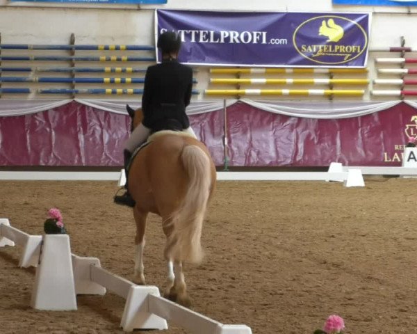 Reitturnier Eicherloh RH Laurent/Obb. 2019