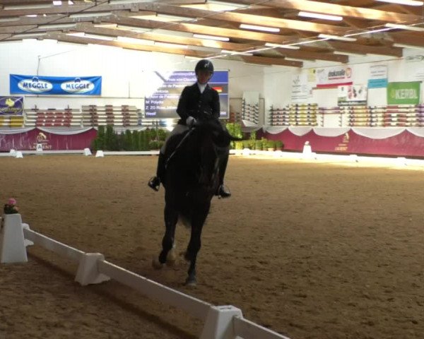 Reitturnier Eicherloh RH Laurent/Obb. 2019