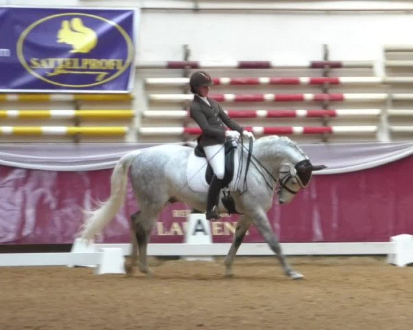 Reitturnier Eicherloh RH Laurent/Obb. 2019