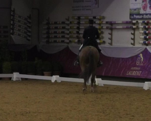 Reitturnier Eicherloh RH Laurent/Obb. 2019