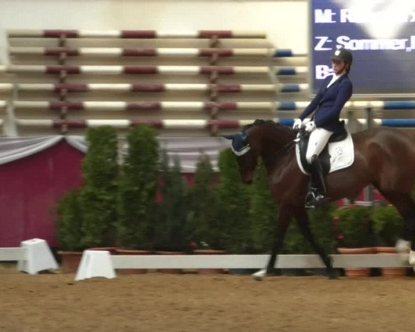 Reitturnier Eicherloh RH Laurent/Obb. 2019