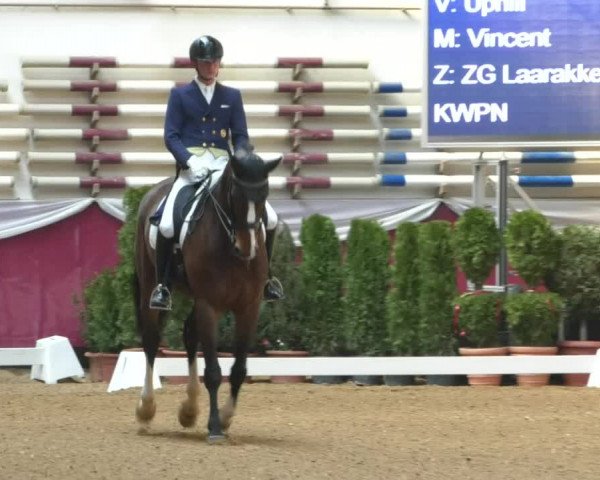 Reitturnier Eicherloh RH Laurent/Obb. 2019