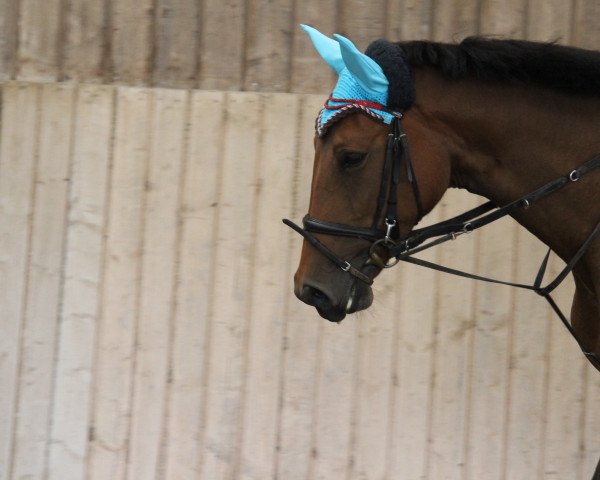 dressage horse Fantagyra (Austrian Warmblood, 2007, from Prokopp's Dumbo)