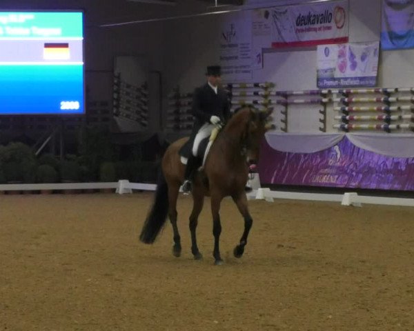 Reitturnier Eicherloh RH Laurent/Obb. 2019