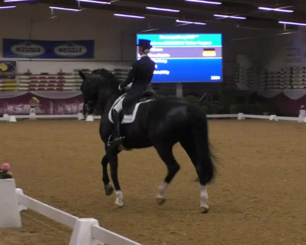 Reitturnier Eicherloh RH Laurent/Obb. 2019