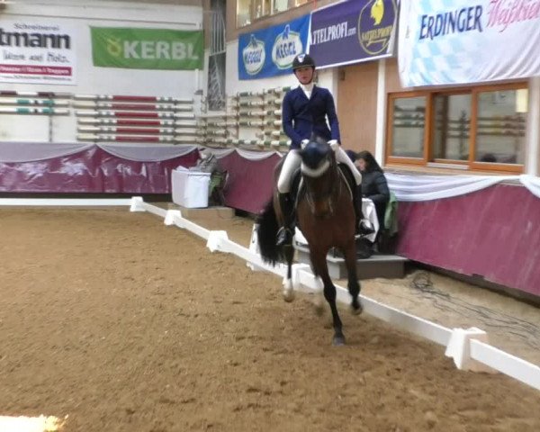 Reitturnier Eicherloh RH Laurent/Obb. 2019